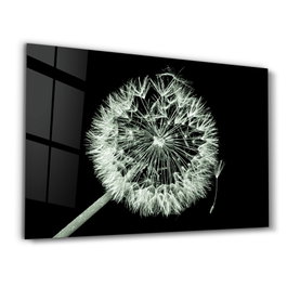 Wallity CAM-3036 Pintura Decorativa de Vidrio Templado 46 x 72 cm